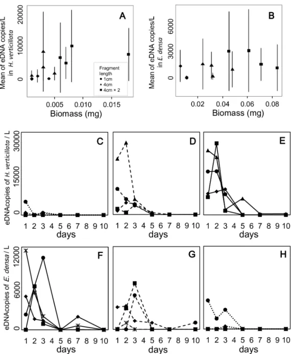 Fig 3. The relationship between eDNA concentration and biomass, and the temporal changes of eDNA concentration in Hydrilla verticillata and Egeria densa under two-species conditions