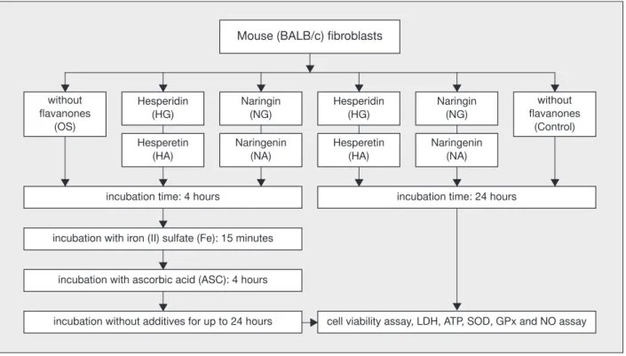 Fig. 1. The experimental procedure  Ryc.1. Schemat eksperymentu