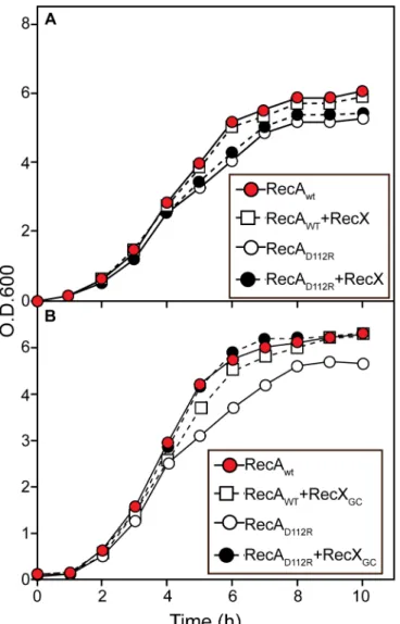 Fig 5. Effects of RecX proteins on the growth curves of cells expressing wild type RecA protein or RecA D112R protein