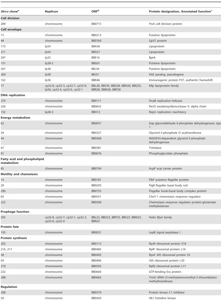 Table 3. B. burgdorferi in vivo-expressed candidate genes organized by functional category.