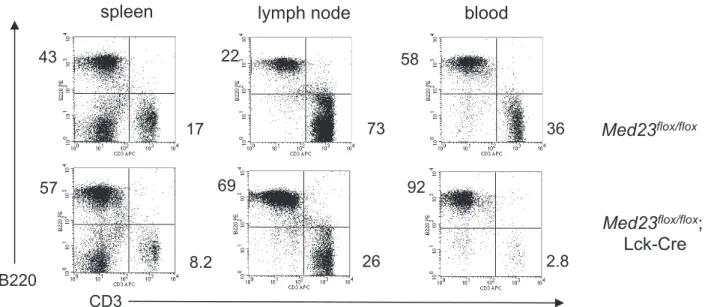 Figure 2. Mice with efficient deletion of Med23 exhibit decreased T-cell numbers in the peripheral lymphoid organs