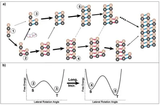 Figure 7. Schematic illustration of how two PFs could form sheet bonds fast and then be kinetically trapped