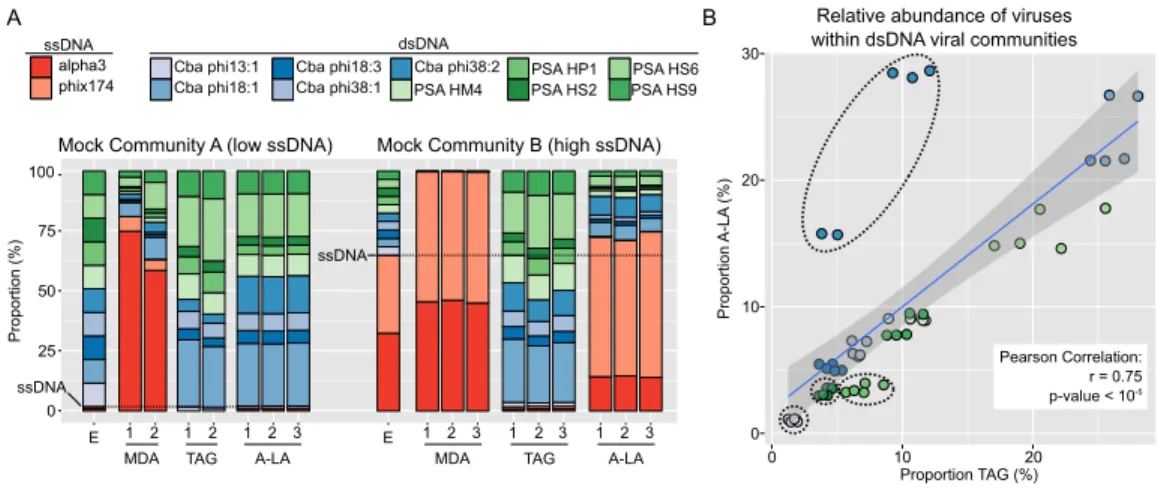 Figure 1 Comparison of amplification efficiency for ssDNA and dsDNA genomes of Multiple Dis- Dis-placement Amplification (MDA), Tagmentation (TAG) and Adaptase-Linker Amplification (A-LA) from mock community samples