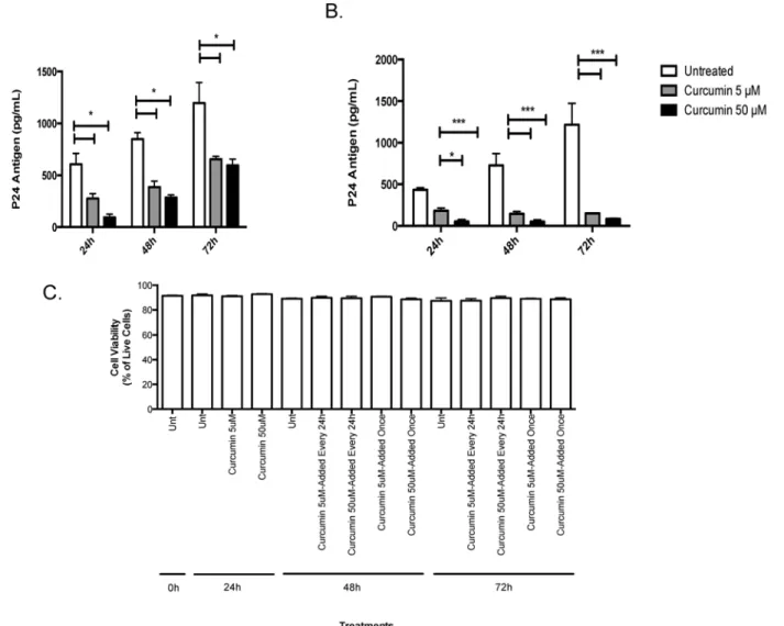 Fig 4. Curcumin prevents the amplification of HIV-1 in chronically infected T-cells. 5x10 5 chronically HIV-infected H9 T-cells were exposed once to 5 or 50 μM curcumin or serum free RPMI as control