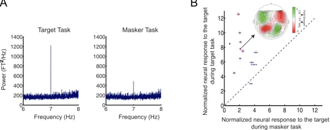 Fig. 3. Attention modulates the normalized neural response. (A) The power at the target sequence rate is larger in the target task compared to the masker task (MEG experiment D, N 5 12, 20 best channels selected for each participant, see Methods for detail