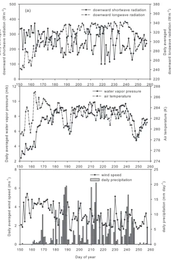 Fig. 1. Daily averaged atmospheric forcing variables at the site.