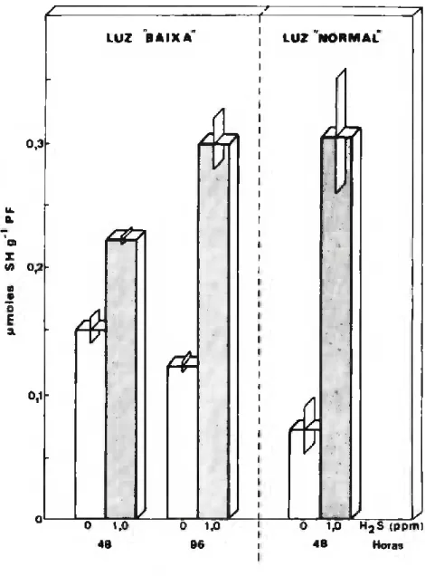 FIGURA 4 - Teores de compostos tiólicos solúveis de folhas de  plântulas de milho em luz “baixa” e luz “normal” e  submetidas a 1,0ppm de H2S durante períodos de 4 8  e 96 horas