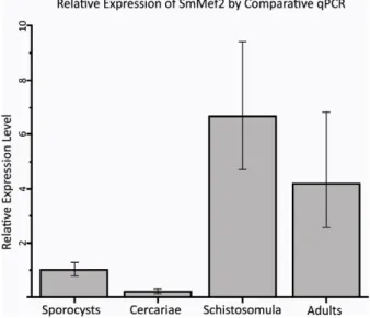 Figure 5. SmMef2 Expression during development. Quantitative PCR analysis of SmMef2 transcript profile during schistosome  develop-ment was performed using cyclophilin as a reference control.