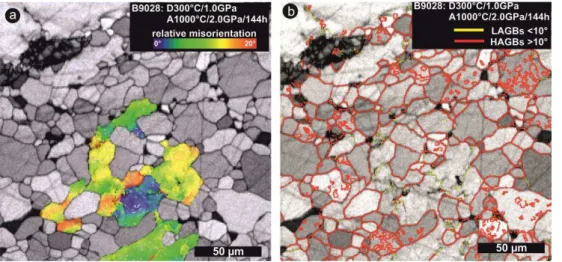 Fig. 7. EBSD map of sample B9028 deformed at 300 ◦ C and annealed at 1000 ◦ C for 144 h.