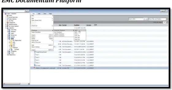 Figura 5 - Plataforma EMC Documentum 