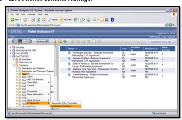 Figura 6 – Plataforma IBM FileNet Content Manager 