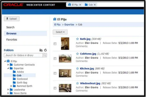Figura 8 – Plataforma Oracle WebCenter Content 