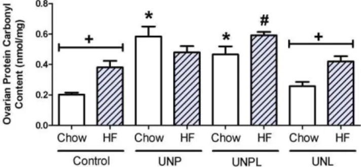 Figure 10). Post-hoc analysis demonstrated a significant decrease in Prx 3 mRNA levels in chow-fed UNP and UNPL offspring (p = 0.010 and p = 0.004) compared to chow-fed Controls (Figure 10) and although levels were lower in UNL offspring these differences 