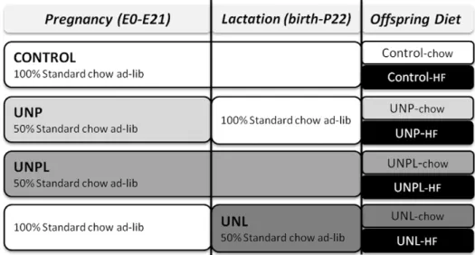 Figure 11. Experimental Design. Schematic representation of the experimental design. There are four levels of maternal nutrition and 2 levels of post-weaning diet resulting in a total of 8 experimental groups in a fully balanced 46 2 design.