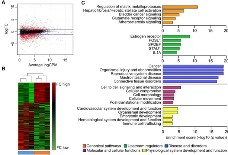 Fig 1. Analysis of gene transcripts in young and old gingival tissues using RNA sequencing