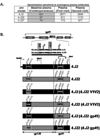 Figure 1. Construction of chimeric envelopes. Chimeric Envs were constructed by swapping of gp120 and gp41 between sensitive (4.J2) and resistant (4.J22) patient Envs using NotI, BbvCI and HindIII restriction enzymes
