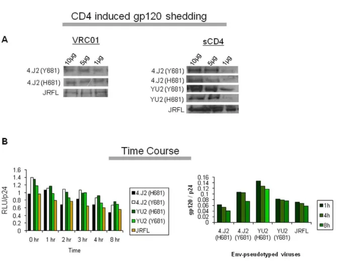 Figure 7. gp120 shedding assay. (A) The CD4-induced gp120 shedding assay was done by Western blot analysis of Envs obtained from supernatants of 293T cells transfected with the plasmid DNA encoding 4.J2 and YU2 Env variants as well as JRFL Env
