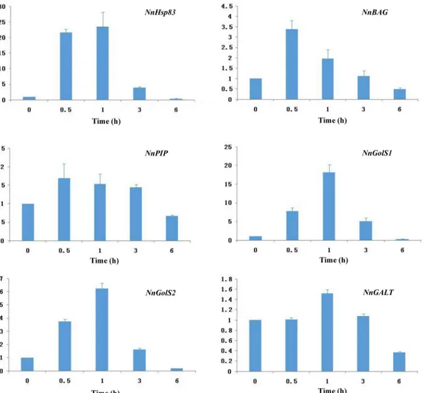 Fig 4. Analysis of genes upregulated by heat stress in Nelumbo nucifera using quantitative RT-PCR