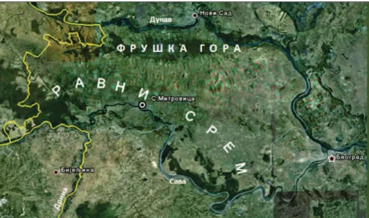 Figure 1.  Distribution of Pedunculate oak forests in Ravni Srem (Source: Google Earth S.Mitrovica  N 44º58’31.65” E 19º37’09.22”)