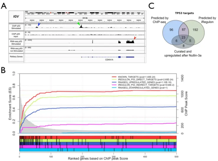 Figure 4. Validation of the p53 regulon by ChIP-Seq. A. Integrative Genomic Viewer (IGV) [131] screenshot for CDKN1A, a known p53 target gene, showing up-regulation by RNA-seq (red arrowhead) and ChIP peaks in the upstream region (green and blue arrowhead)