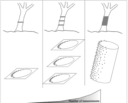 Figure 4. Principles of single circle (SC), multiply circles (MC), and cylinder (CY) tree  recognition algorithms 