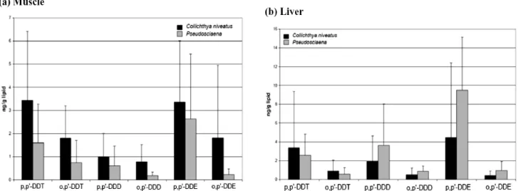 Figure 2. Composition of DDT compounds in Collichthys niveatus and Pseudosciaena crocea muscle and liver.