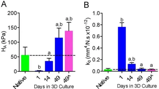Fig. 3. Biochemical composition of NP cell-seeded agarose constructs with culture duration and in comparison to  native bovine NP (n = 5)