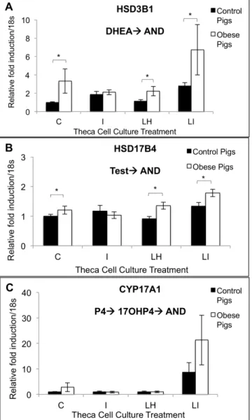 Fig 5. Theca cell gene expression of HSD3B1 (A), HSD17B4 (B) and CYP17A1 (C) in response to control, LH (10 ng/ml), insulin (100 ng/ml) or LH + insulin (10 ng/ml + 100 ng/ml) treatments in vitro in control (n = 4) and obese (n = 6) pigs