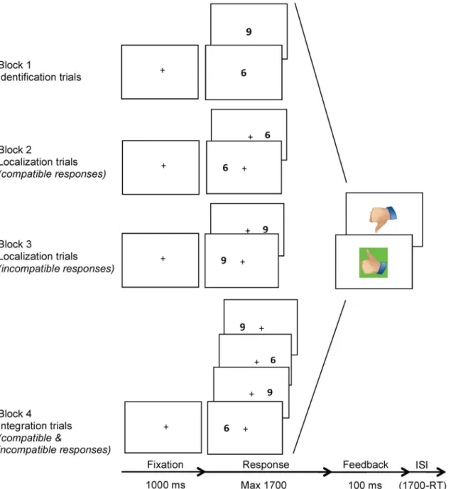 Fig 1. Visual Integration Test procedure. Note. The Visual Integration Test consisted of three conditions: the identification, localization and integration conditions, administered in four sequential blocks