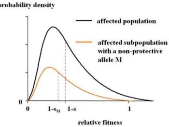 Figure 2. Distribution of the relative fitness in the affected population. In the multifactorial threshold model, the relative fitness as a quantitative trait in the affected population is assumed to approximately follow a gamma distribution with the mean 