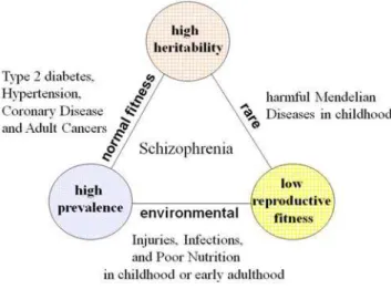 Figure 1. Devil’s triangle of high heritability, high prevalence and low reproductive fitness