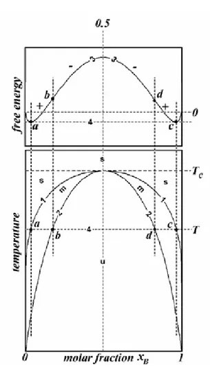 Figure  1.  A  phase  diagram  with  a  miscibility  gap  (lower  frame)  and  a  diagram of the free energy change (upper frame)