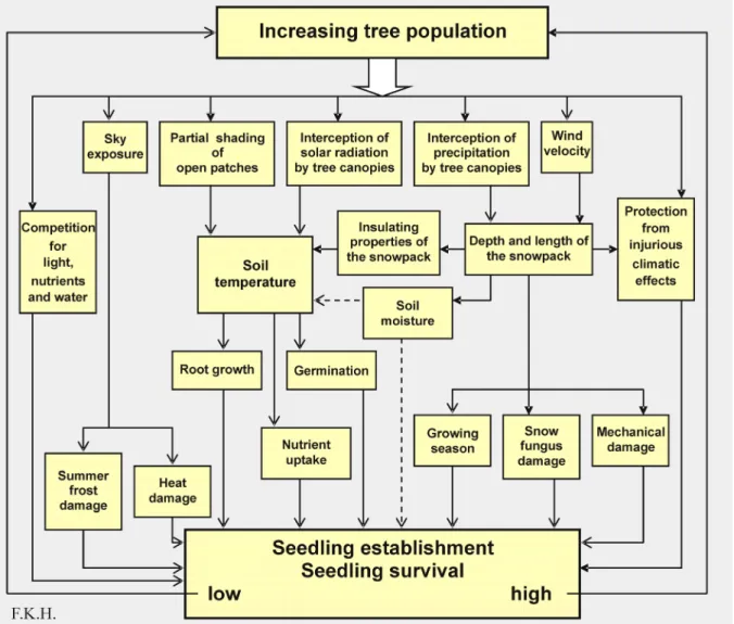 Figure 13: Consequences of increasing tree population within the treeline ecotone and beyond the tree  limit