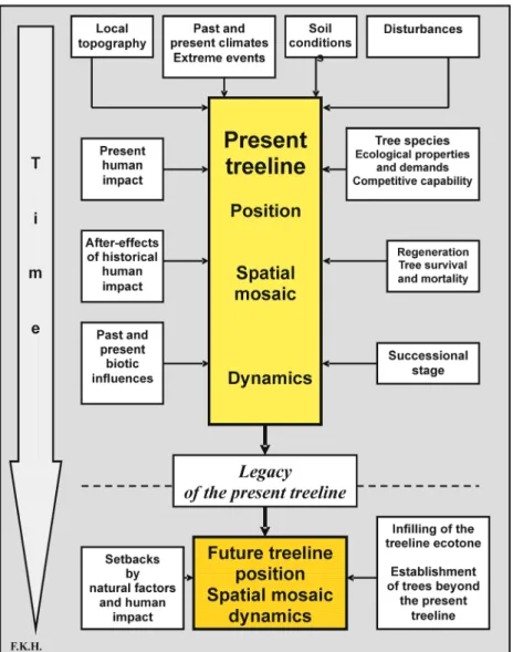 Figure 14: Position, spatial pattern and dynamics of treeline as a result of historical treeline legacy and  environmental change