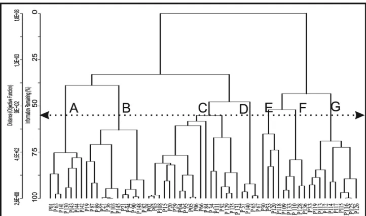 Figure 7 Cluster analysis in Q-mode of diatoms samples stations in Guanabara Bay.