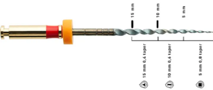 Figura 2: Lima do sistema Hyflex ®  