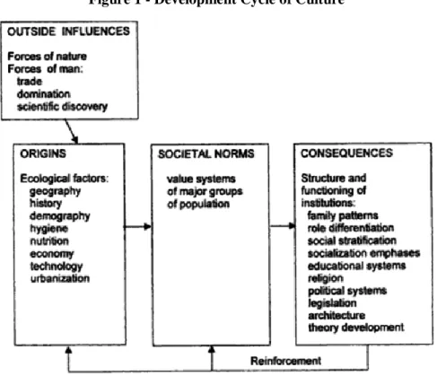 Figure 1 - Development Cycle of Culture 