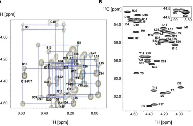 Figure 6. E7N chemical shifts assignments. A) Finger-print region of 2D 1 H- 1 H NOESY spectrum of E7 (1–40) in aqueous solution at pH 5.0, showing sequential NOE connectivity among H a nuclei