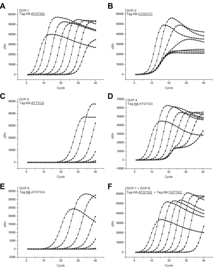 Figure 1. Optimization of primers for real-time DOP-PCR. Amplification profiles of real-time DOP-PCR were obtained by using various degenerate primers