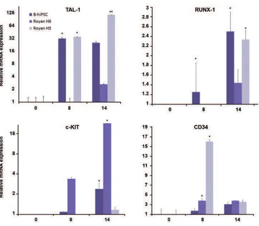 Fig 3: Quantitative RT-PCR. Total mRNA of cells from indicated day were extracted and analyzed for expression of speciic  genes (table 1) by quantitative RT-PCR using the 2-∆∆CT method (n=3)