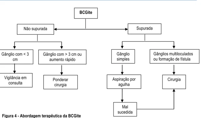 Figura 4 - Abordagem terapêutica da BCGite  BCGite  Gânglio simples  Aspiração por agulha  Mal sucedida Gânglio com &gt; 3 cm ou aumento rápido  Gânglios multiloculados  ou formação de fístula  