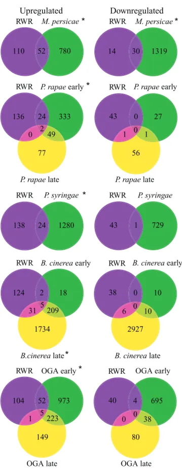 Figure 5. Comparison of RWR Genes with the Transcript Profile of Other Environmental Stimuli