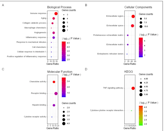 fIGUre 2. The GO analyses of the common DEGs. (A) The GO analyses according to the biological process