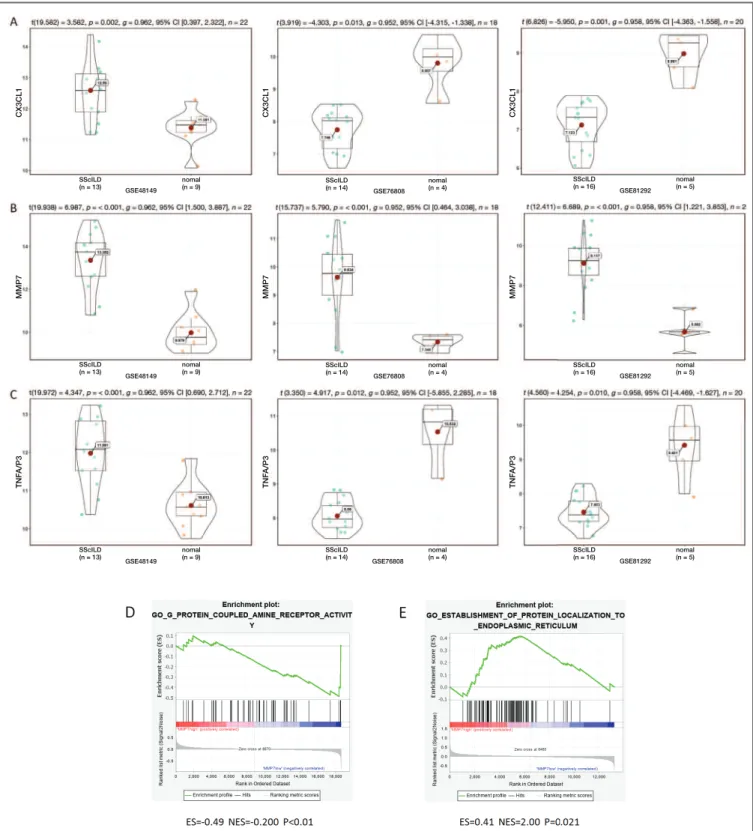 fIGUre 4. Validation of the hub genes, including MMP7(A), CX3CL1(B), and TNFAIP3(C) in the datasets (GSE48149, GSE76808, and GSE81292)