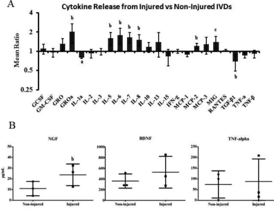 Fig. 5. Comparative analysis of factors released by injured and non-injured discs. (A) Media were analysed for  released cytokines on a commercial array blot, and normalised to provided positive and negative controls and  presented as the mean ratio