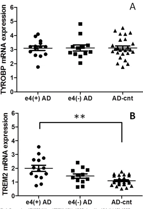 Fig 2. Expression of TYOBP (2A) and TREM2 (2B) in APOE ε 4-positive AD [ ε 4(+) AD], APOE ε 4-negative AD [ ε 4( − ) AD], and AD-cnt groups