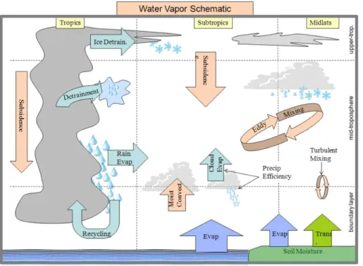 Fig. 1a. Sources, sinks, and processes controlling tropospheric water vapor (courtesy Derek Brown, dissertation).