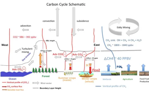 Figure 1b: sources, sinks, and processes controlling tropospheric 