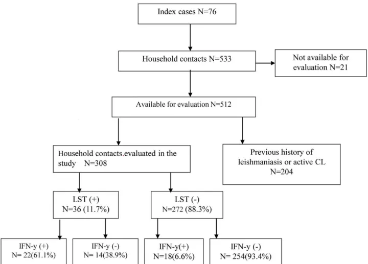 Figure 1 depicts the design of the cohort study and distribution of study subjects. A positive LST was observed in 36 (11.7%) of the 308 HC tested and IFN-c production was detected in 40 HC (12.9%)