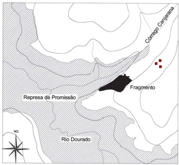 FIGURA 2 – Detalhe do relevo representado pelas curvas em nível com desnível de 20 metros e hidrografia no entorno do fragmento florestal à margem do córrego Canjarana, município de Guaiçara, SP.